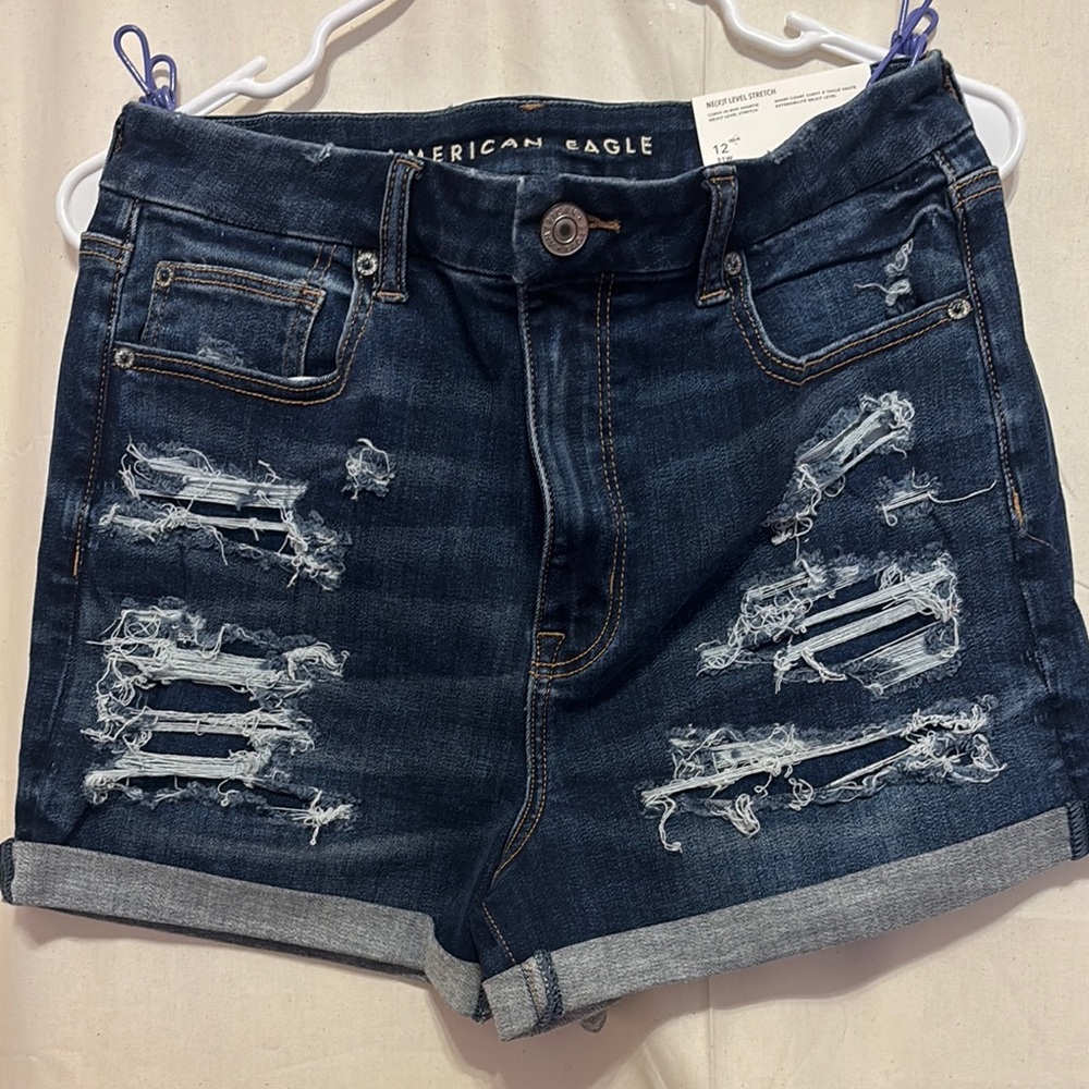American Eagle Outfitters Blue Distressed Jean Shorts